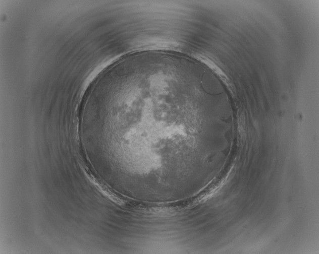 X0000070360933200606231619