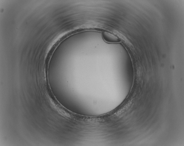 X0000070360934200606231619