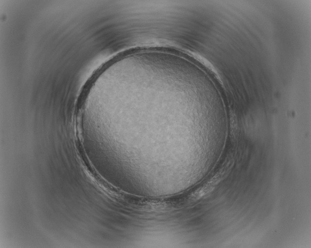 X0000070360935200606231619