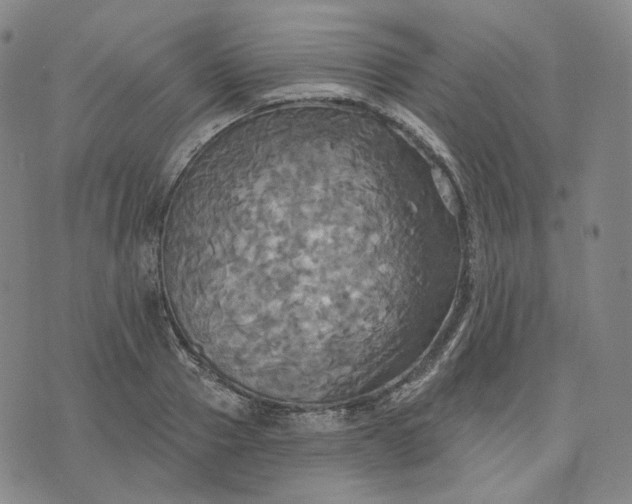 X0000070360937200606231619