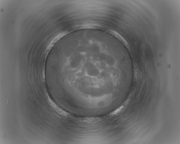 X0000070360938200606231619