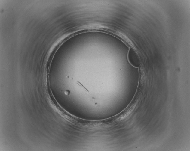 X0000070360939200606231619