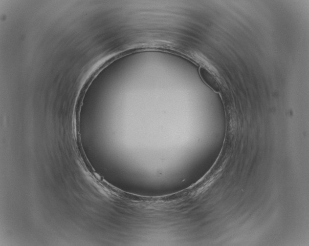 X0000070360940200606231619