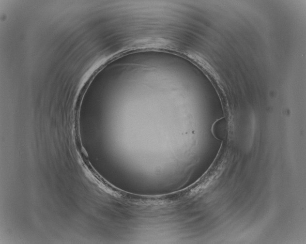 X0000070360941200606231619