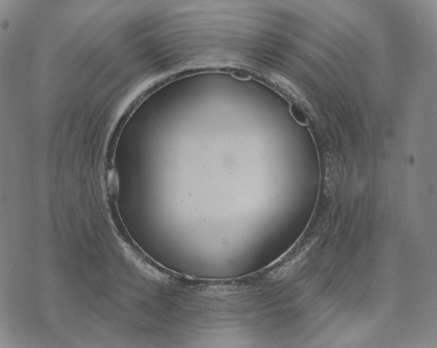 X0000070360942200606231619