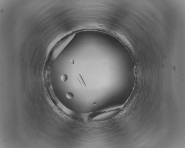 X0000070360944200606231619