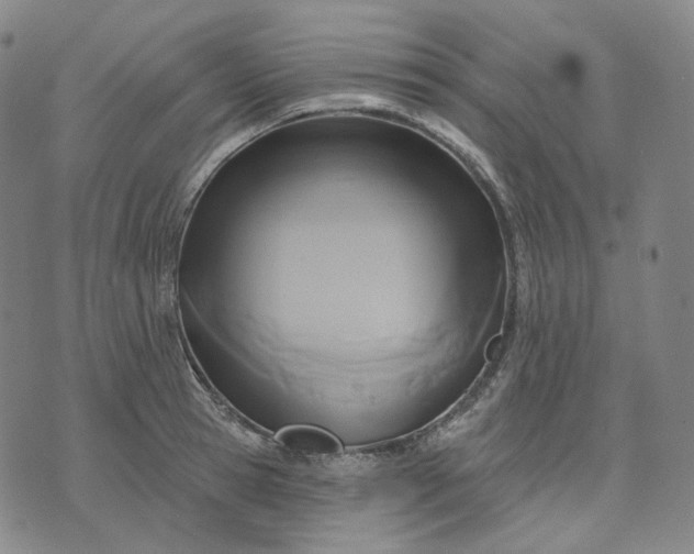 X0000070360945200606231619