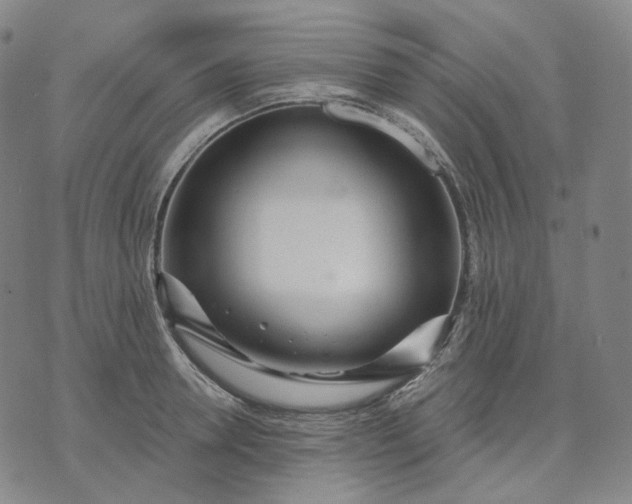 X0000070360946200606231619