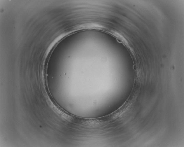 X0000070360947200606231619