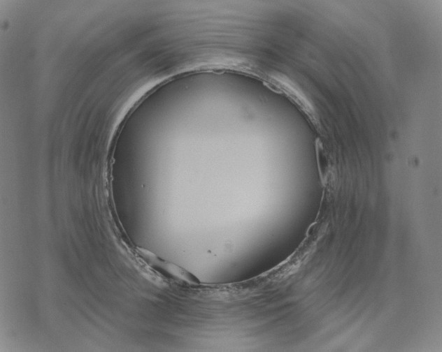 X0000070360948200606231619