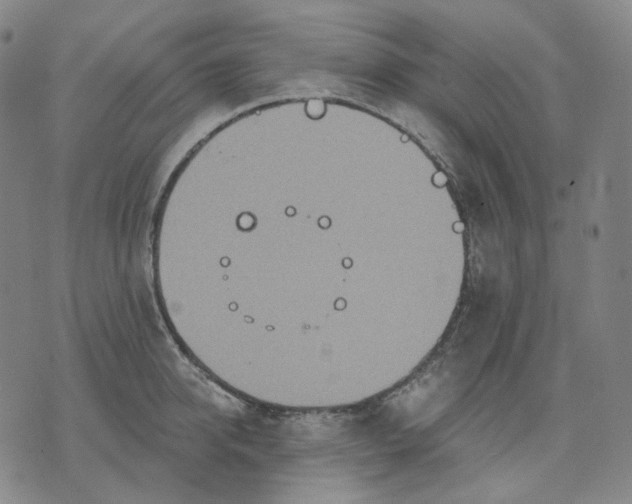 X0000070360950200606231619