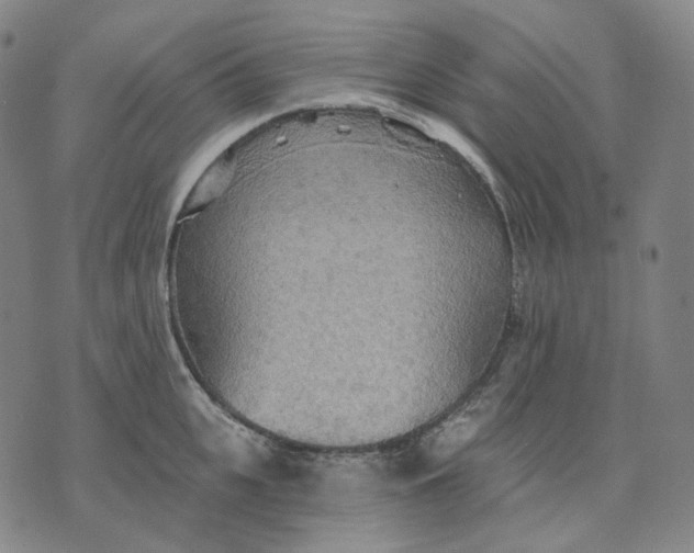 X0000070360951200606231619