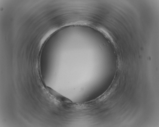 X0000070360952200606231619