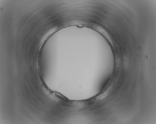 X0000070360954200606231619