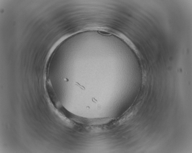 X0000070360955200606231619