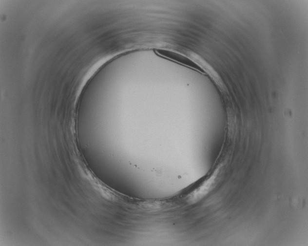 X0000070360956200606231619