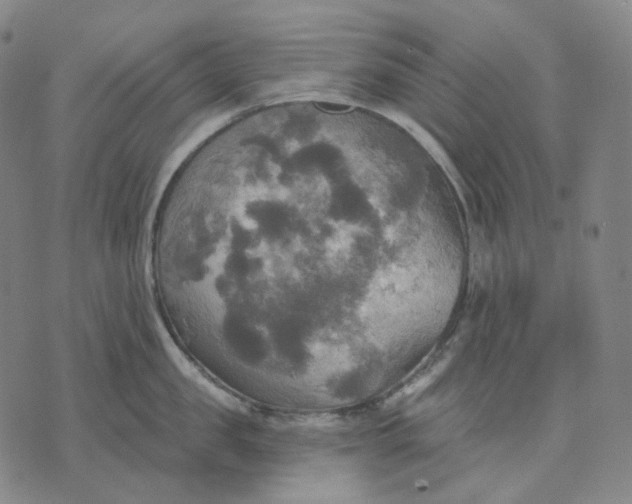 X0000070360957200606231619