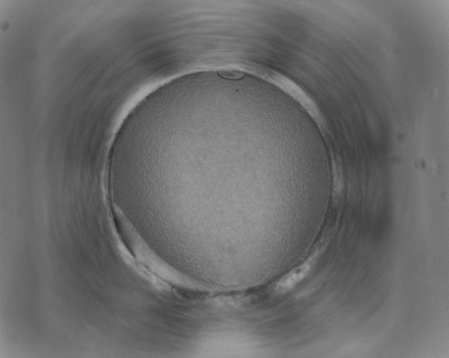 X0000070360958200606231619