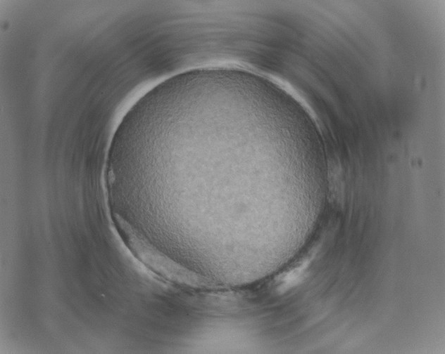 X0000070360959200606231619