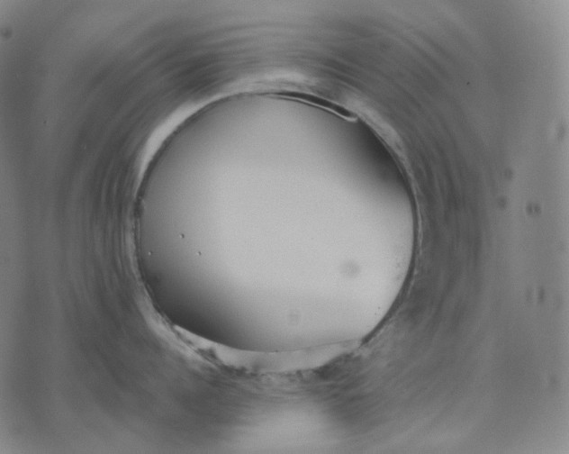 X0000070360960200606231619