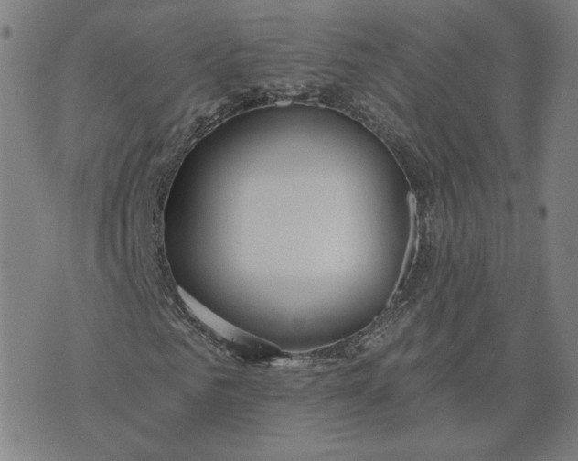 X0000070360961200606231618