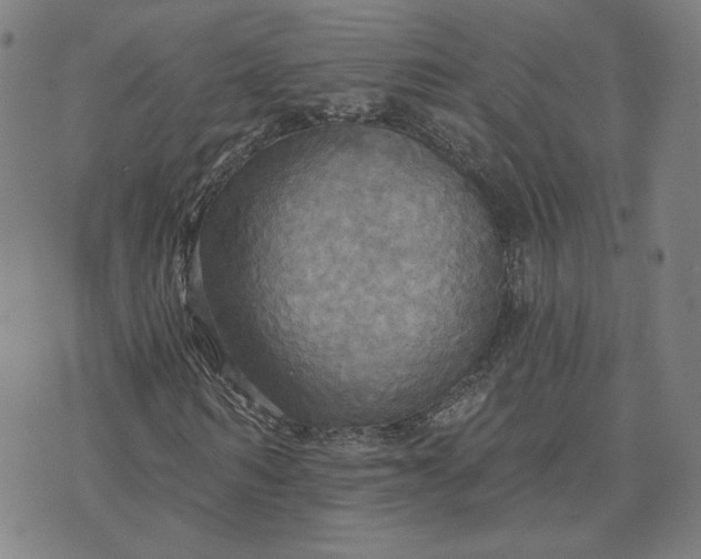 X0000070360962200606231618