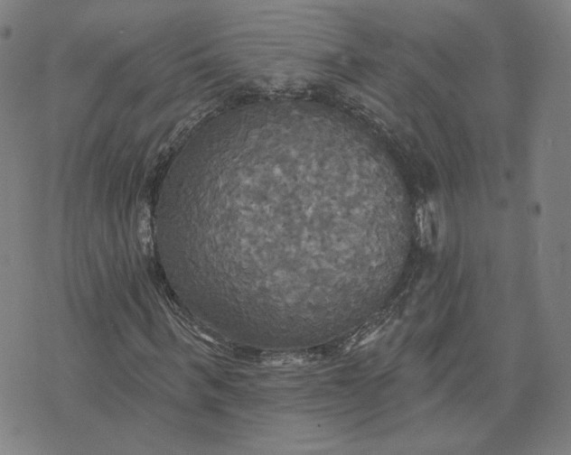 X0000070360963200606231618