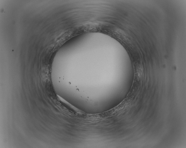 X0000070360964200606231618