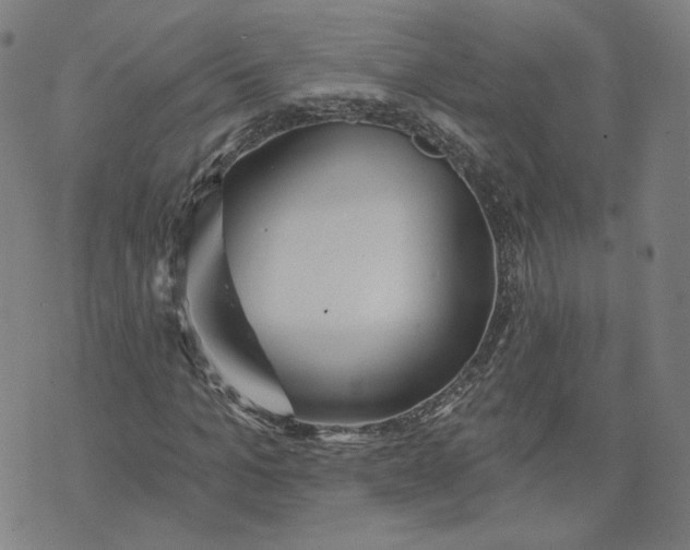 X0000070360965200606231618