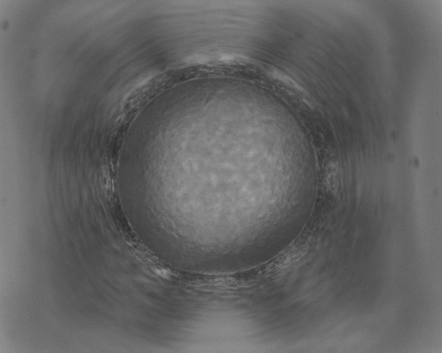 X0000070360966200606231618