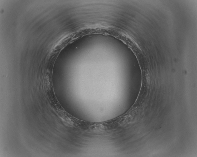 X0000070360968200606231618