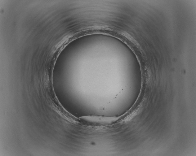 X0000070360969200606231618