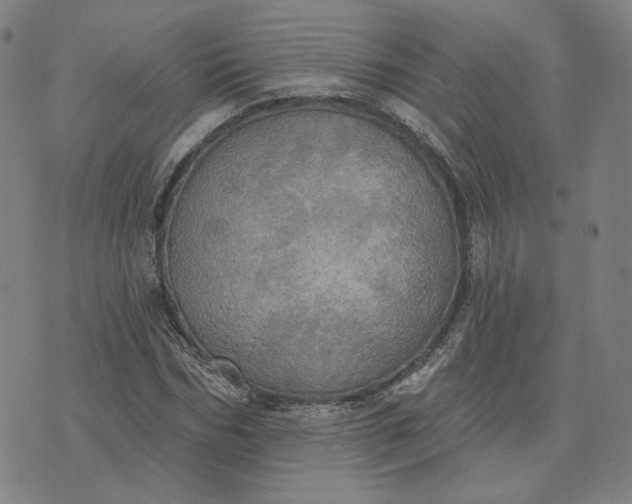 X0000070360970200606231618