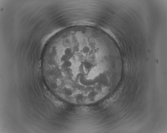 X0000070360971200606231618