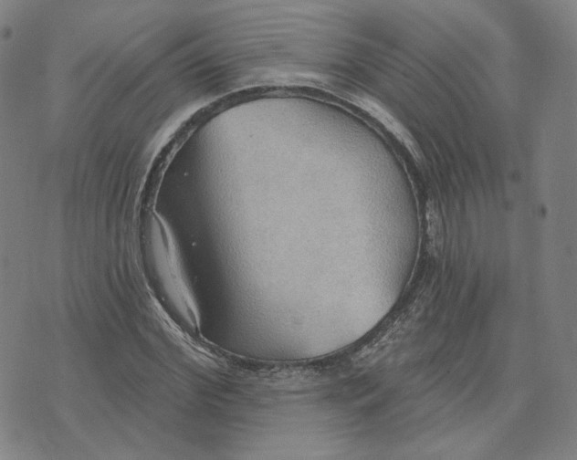 X0000070360972200606231618