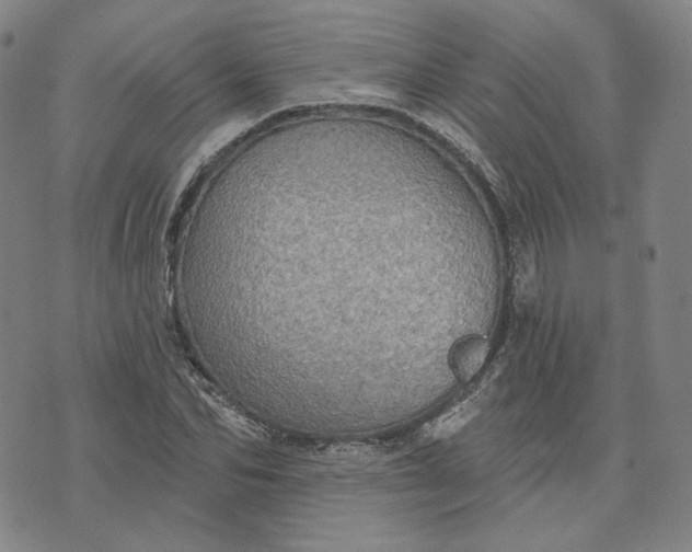 X0000070360974200606231618