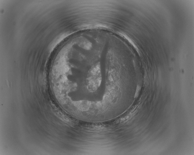 X0000070360975200606231618