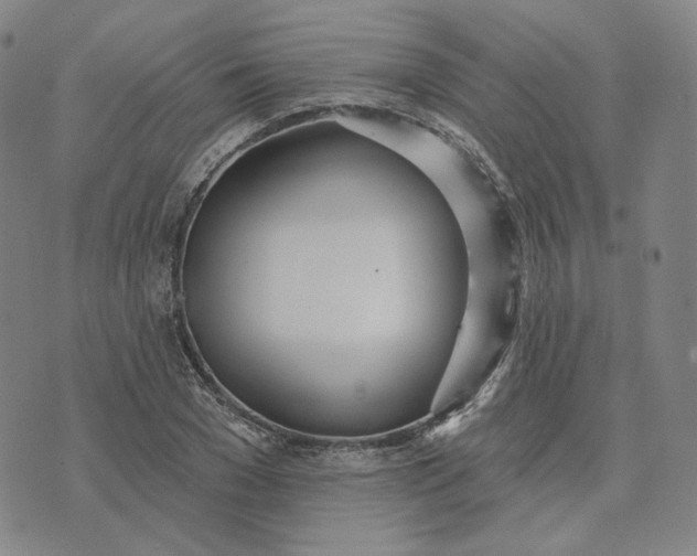 X0000070360977200606231618