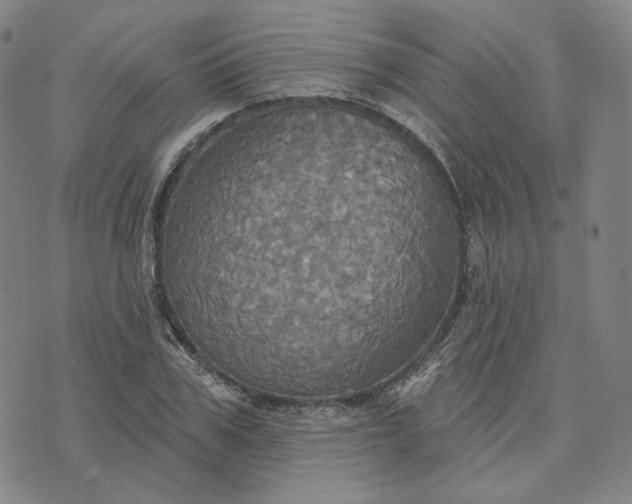 X0000070360979200606231618