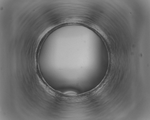 X0000070360980200606231618