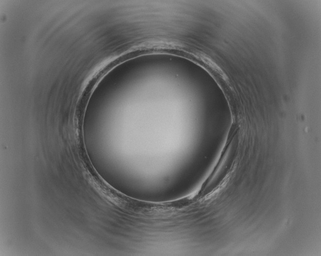 X0000070360981200606231618