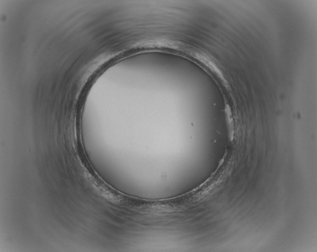 X0000070360984200606231618