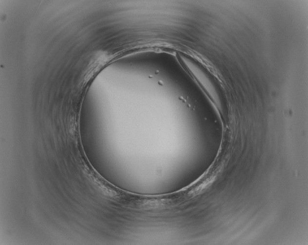 X0000070360985200606231618