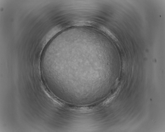 X0000070360986200606231618