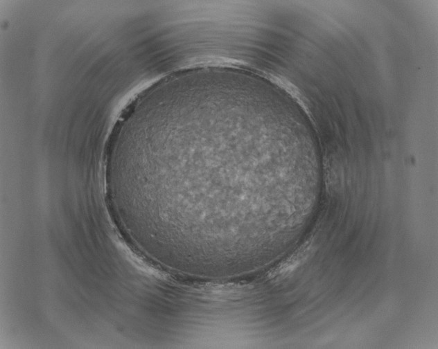 X0000070360987200606231618