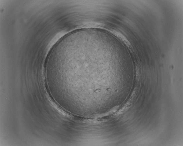 X0000070360990200606231618