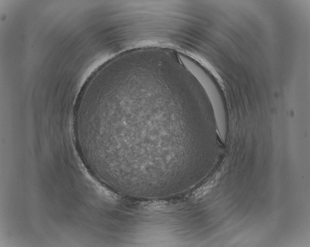 X0000070360991200606231618