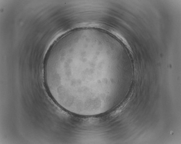 X0000070360992200606231618