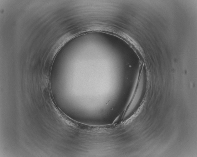 X0000070360993200606231618