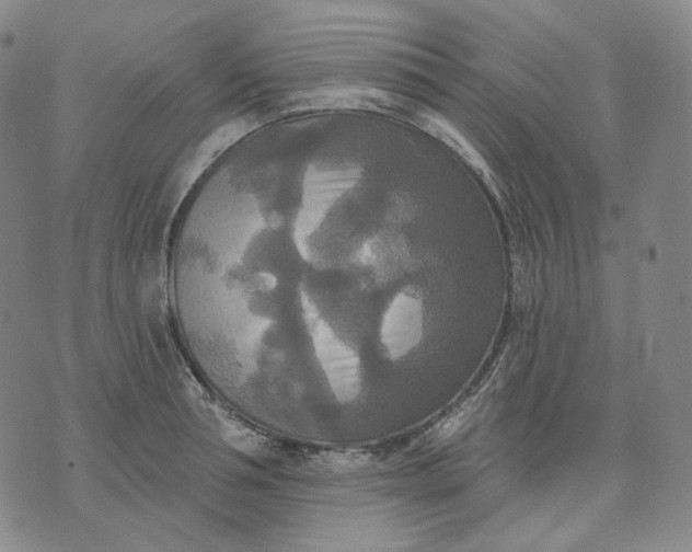 X0000070360994200606231618